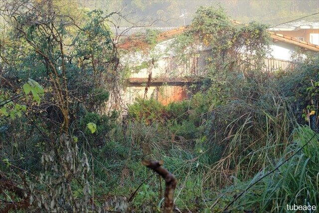 荒れ放題の空家の写真